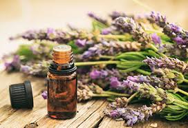 Aromatherapy/Natural Healing