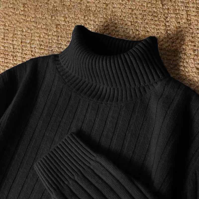 Animal Game Men's Long Turtleneck Stripes Sweater Casual Knitwear Pullover Sweaters Outdoor Warm Thick Heavyweight Cold Blouse