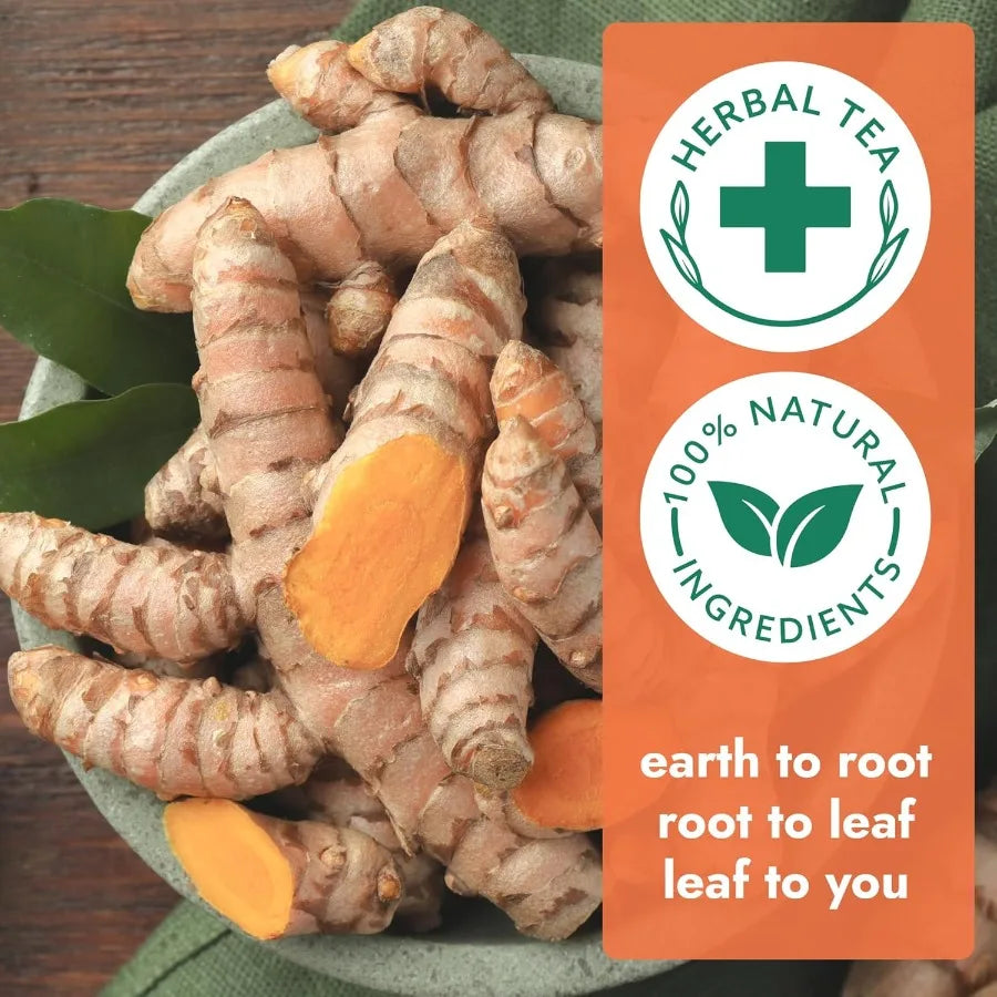 120 Tea Bags Ginger Turmeric Cinnamon Tea Bags Supports Immune Health Aids Digestion 100% Natural Ingredients Blended Herbal Te