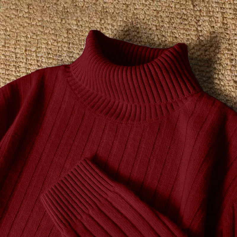 Animal Game Men's Long Turtleneck Stripes Sweater Casual Knitwear Pullover Sweaters Outdoor Warm Thick Heavyweight Cold Blouse